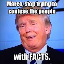 Résultat de recherche d'images pour "donald trump meme"
