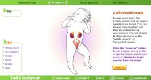 Check spelling or type a new query. A Screen Capture From The Prototype Website Showing The Gender Neutral Download Scientific Diagram