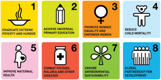 Mdg is your partner of choice. What Chw Central Members Are Saying About The Millennium Development Goals
