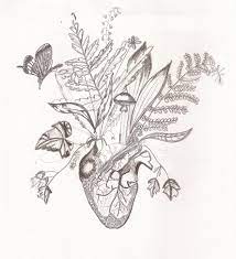 Definition of hearts and flowers in the idioms dictionary. Flowers From The Heart Kayliejoyd Drawings Illustration Flowers Plants Trees Plants Ferns Artpal