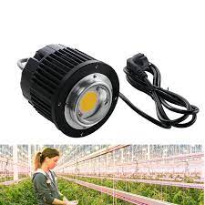 One of the best models you can buy is the growstar 600w cree cob led grow light. 100w Led Grow Light Cree Cob Cxb3590 3000k 3500k 5000k 12000lm Original Chip High Power Lumens For Diy Plant Growing Lamp Led Grow Light Cree 100w Led Grow Lightsled Grow Aliexpress