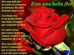 Rosas Con Poemas De Amor Para Celular Poemas De Rosas Poemas De Amor Imagenes De Poemas