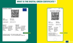 Na plataforma, é possível que o brasileiro visualize, salve e imprima o certificado nacional de vacinação. Comissao Europeia Criara Certificado De Saude Digital Mercado