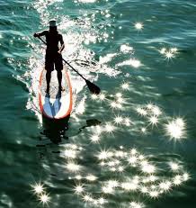 Stand Up Paddle Tumblr Sup Standup Paddle Paddle Surfing Paddle