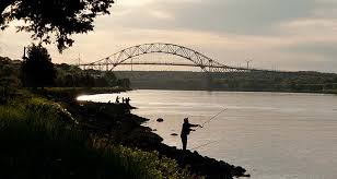 Cheat Sheet For The Unique Cape Cod Canal Fin And Field Blog