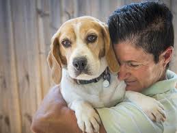 Search for a puppy or dog. Animals Australia Profoundly Disappointed As Gumtree Backflips Over Puppy Farm Promise Herald Sun