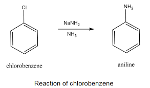 Nucleophilic Aromatic Substitution - The Benzyne Mechanism