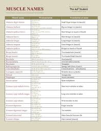 This is a table of skeletal muscles of the human anatomy. Muscle Names List Pdf Portable Document File Lion Den