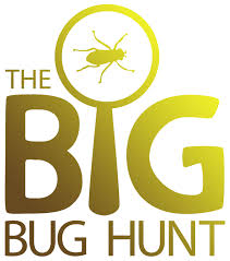 Use chemical sprays only as a last resort. Insect Identification Bug Identification Garden Pests Us And Canada