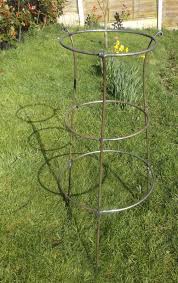 Tall Heavy Duty Handmade Antique Style Metal Herbaceous Plant Support 5 16 Bar 2 Plant Supports Plant Structure Garden Dividers