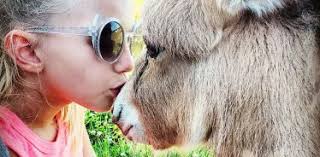 Scottie Jones, Author at Farmstay