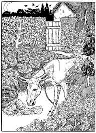 See more ideas about adult coloring pages, coloring pages, adult coloring. Coloring Pages Horses Donkeys Zebras Unicorns