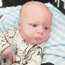 Wood Fruitticher Food Service