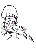 These alphabet coloring sheets will help little ones identify uppercase and lowercase versions of each letter. Jellyfish Coloring Pages And Printable Activities