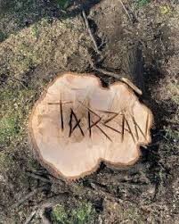 This is the wood that won't have to be split and can fit into your fireplace or woodstove as is. Wood Centerpieces Tarzan Tree Removal
