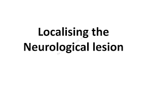 Image result for Neurologic Lesion Localization