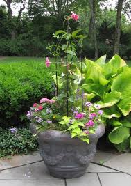 Pin On In The Garden