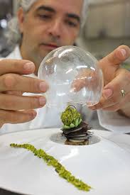 Glenn Crowe (glenncrowe)