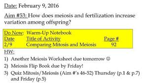 In this short article we discuss how solutions to survey thoughts may very well be organized so that analysis can determine the role they. Obj Given Lab Swbat Compare The Main Characteristics Of Mitosis To Meiosis With 70 Accuracy Bring In Text Book Dn Hand In Constructed Response Packets Ppt Download
