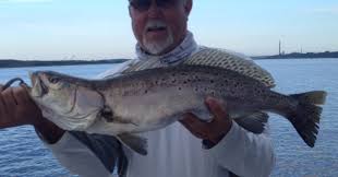 Nefl Nassau Sound Fishing Reports Archives Coastal Angler