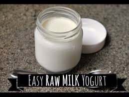 How To Make Raw Milk Yogurt Youtube