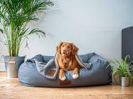 Rectangle pet dog cat warm bed long plush calming sleeping bed ultra soft. 7 Large Dog Bed Ideas For Australian Dogs Dogs Of Australia