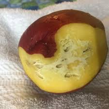 This is only a small fraction as there are 100 peaches on my tree. White Hole Y Stuff In Your Mango Eat Or Toss