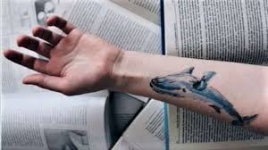 Check spelling or type a new query. Balena AlbastrÄƒ Jocul MorÈ›ii Tehnici Mediatice