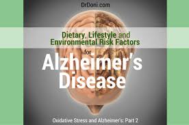 Dietary Lifestyle And Environmental Risk Factors For Alzheimer S Disease Doctor Doni
