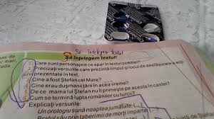 Muma lui ștefan cel mare, poezie. Intrebarile Pana La 6 Din Poiezia Muma Lui Stefan Cel Mare Brainly Ro