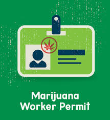 How to get a weed license. Oregon Liquor Control Commission Marijuana Worker Permit Marijuana And Hemp Cannabis State Of Oregon