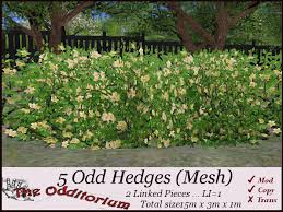 For evergreen shrubs and hedges, including boxwoods, prune for shaping any time of the year, other than fall. Second Life Marketplace Odd Leafy Flowering Hedges