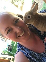 White Mountain Animal Hospital