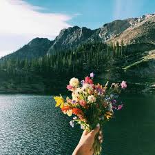 صور رومانسية باقات ورد ليدي بيرد