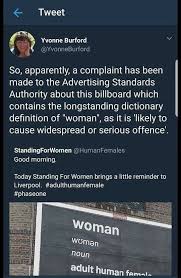 Radfemfatale Radfemfatale Twitter Radical Feminist Radical Feminism Feminist Agenda