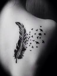 Types Of Birds And Their Meanings Feather Into Birds On The Back Of The Shoulder Feather Tattoo Design Eagle Feather Tattoos Feather With Birds Tattoo