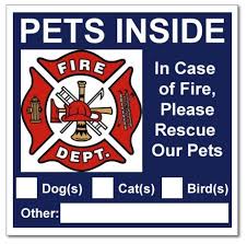 Jun 16, 2021 · the blue alert system was launched in texas in 2008. Securepro Products 6 Pets Inside Blue Safety Alert Warning Window Door Stickers In Fire Or Emergency Notify Rescue Personnel To Save Pet Buy Online In Antigua And Barbuda At Desertcart 26228848