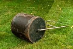 Was tun gegen die löcher? Locher Im Gartenboden Welches Tier Steckt Dahinter