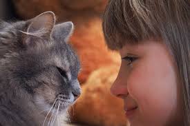 Pets May Help Children Learn About Animal Welfare Pets Dogs And Kids Animals