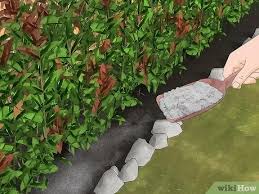 Keep these creatures away by removing potential food sources from the yard and by closing off any small access points to areas they may use as a shelter. 3 Ways To Keep Raccoons Out Of The Garden Wikihow
