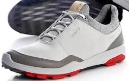 Image result for how to care for ecco biom golf shoes