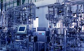 Features of animal cell growth in culture. Bioreactor Bioreactor That Has Increased Titers And Yields