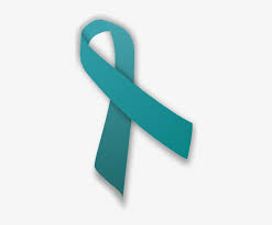 We've got an explanation of all the colors here teal colored ribbons are used for the support of ovarian cancer. Teal Ribbon Sport One Of These For The Month Of September Ovarian Cancer Ribbon Png Transparent Png 370x599 Free Download On Nicepng