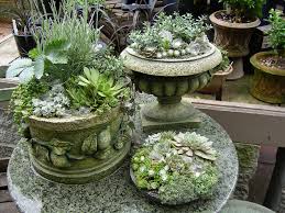 Southlands Nursery Vancouver Succulents In Containers Rogers Gardens Succulents
