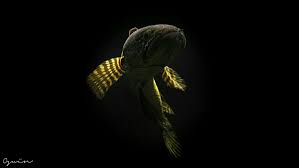 Download now gambar animasi ikan koi lucu for android apk download. Channa Aurantimaculata Animasi