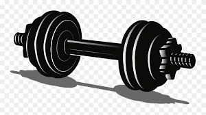 Klik pada gambar thumbail untuk mengunduh gambar ukuran. 1552884071 Clipart Gambar Alat Olahraga Gym Kartun Png Download 5320933 Pinclipart