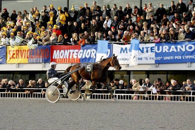 Ippodromo di Montegiorgio, con il Palio dei Comuni grande ippica e festa popolare - MCNET