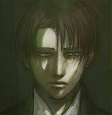 19 idées de Levi Ackerman