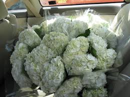 If you are purchasing bulk roses to complement your wedding tones, be aware that we cannot guarantee the same variety when more than one case is ordered. November 2010 Bean In Love