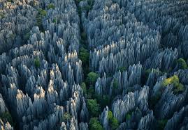 Hasil gambar untuk foto Tsingy de Bemaraha National Park